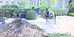 Trump Shares Video Of Rose Garden Damage
