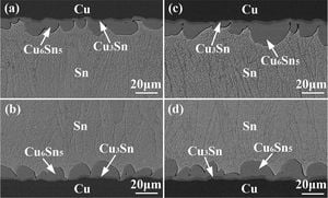 New Insights Into Thermomigration Effects On Micro-Joints