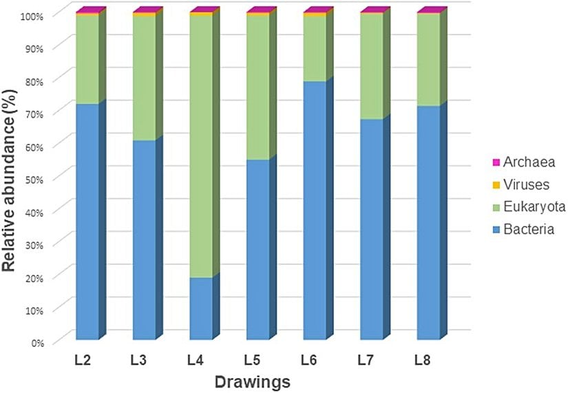 Araştırılan yedi çizimin mikrobiyomlarında ökaryotların, bakterilerin, arkelerin ve virüslerin oranı