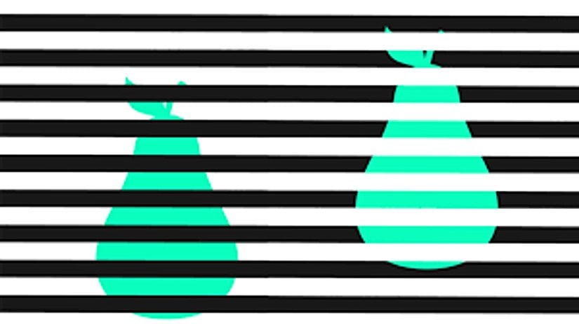 Gördüğümüz iki armut şeklindeki yeşil renk aslında aynıdır ama ne kadar uğraşsak da beynimizi aynı renkleri gördüğümüze ikna edemeyiz.