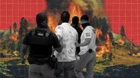 Trump's immigration crackdown could make wildfire season deadlier this year