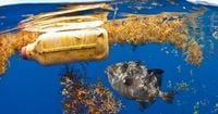 Eating just a handful of plastic can be fatal for marine animals, a study finds