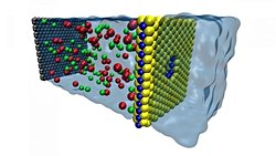 Deniz Suyundan Tatlı Su Üretiminde Büyük Adım: Tuzu Ucuza Süzen Nano-Gözenekler!