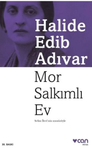 Mor Salkımlı Ev