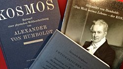 Bilimin, sanatın ve doğanın kusursuz bir harmonisi