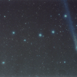 How Much is That Comet in the Window?