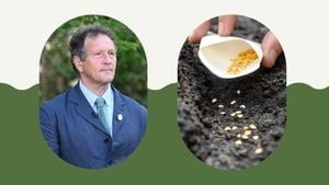 Monty Don Inspires Gardeners With Tips For November Planting