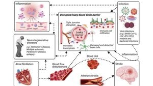 New Study Evaluates Blood-Brain Barrier Accesibility Of Natural Products