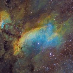  IC 4628: The Prawn Nebula 