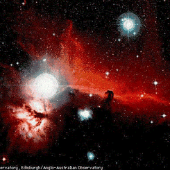 Orion'un Atbaşı Bulutsusu