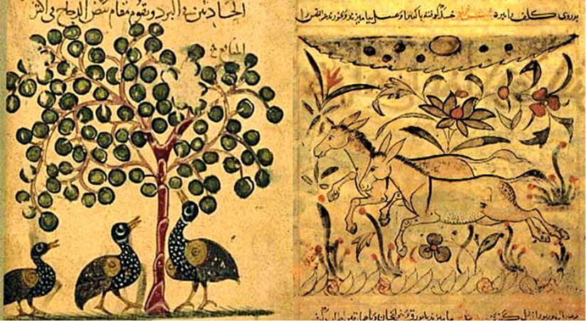 "Kitab Al- Hayavan" Kitabı