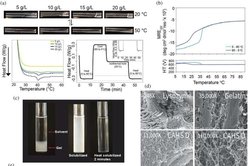 Araştırmacılar, Tardigrad Proteinlerinin İnsan Hücrelerinde Metabolizmayı Yavaşlatabileceğini Gösteriyor.
