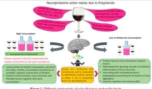 Alcohol's Complex Role In Alzheimer's Disease