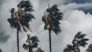 Storm Emilia Pounds Spain With Record Waves And Winds