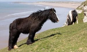 National Trust Walks And Rural Tensions Shape UK Winter