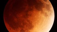 When is the next full moon? Why is it called sturgeon moon in August? Perseid shower peaks