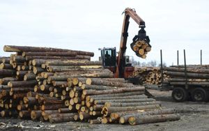 Trump Administration Imposes Tariffs On Canadian Lumber