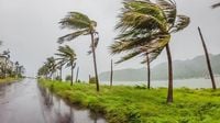 Cyclone Fengshen disrupts transport in the Philippines, Vietnam