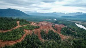 Indigenous Communities Endure Genocide Threat Amid Mining Boom