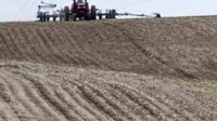 Weather, Low Commodity Prices and Tariffs Shape Northwestern Corn Belt Planting Decisions