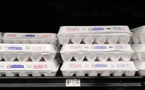 August Egg Company Recalls 1.7 Million Eggs Amid Salmonella Outbreak