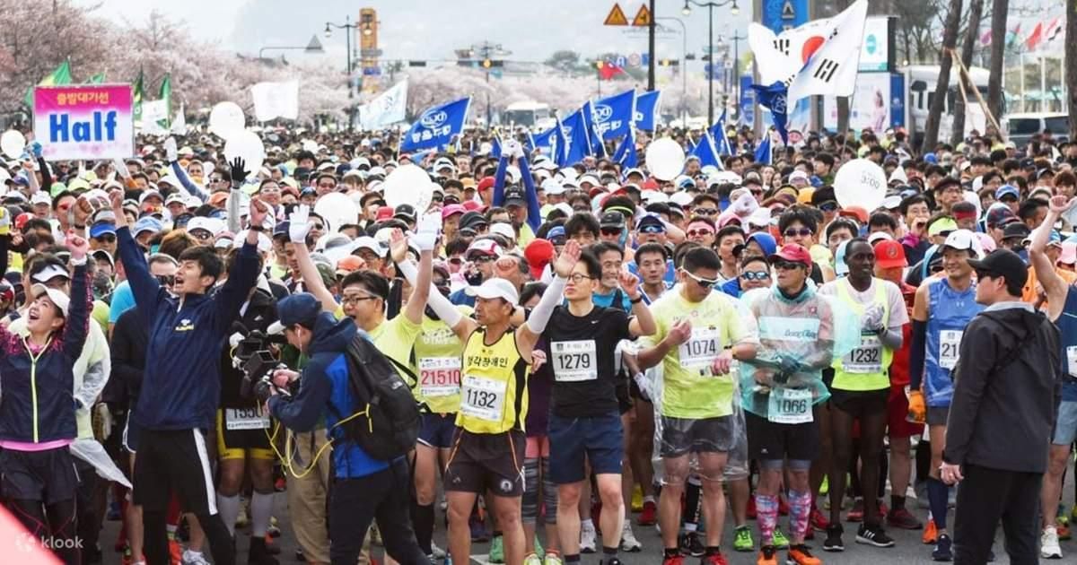 Gyeongju's 2025 Cherry Blossom Marathon Sets Stage For APEC The