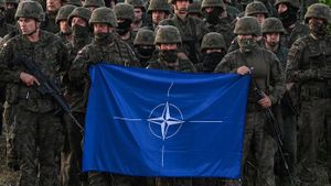 NATO's Strength Tested Amid Command Transitions