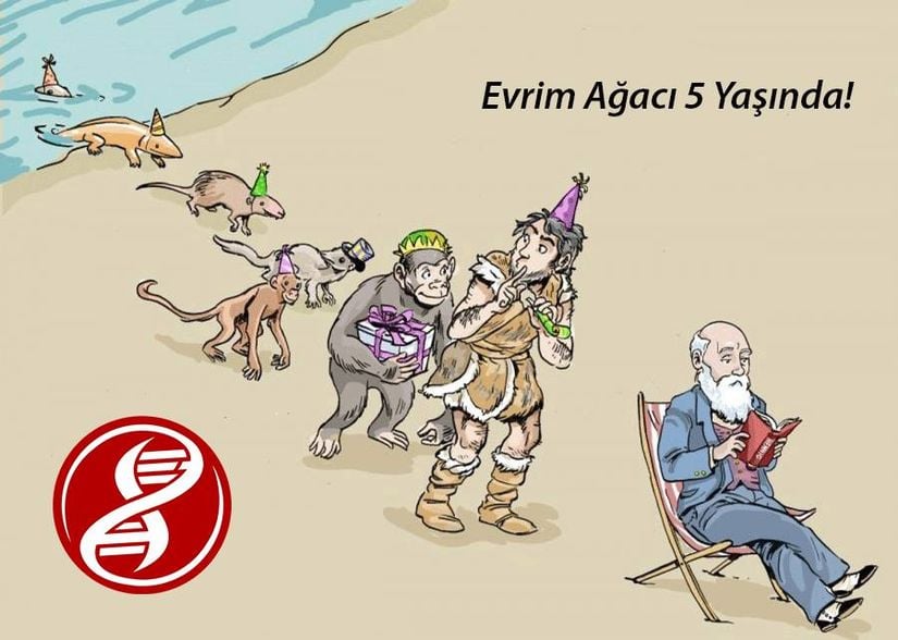 5 Kasım 2015'te Evrim Ağacı 5 yaşını doldurdu.