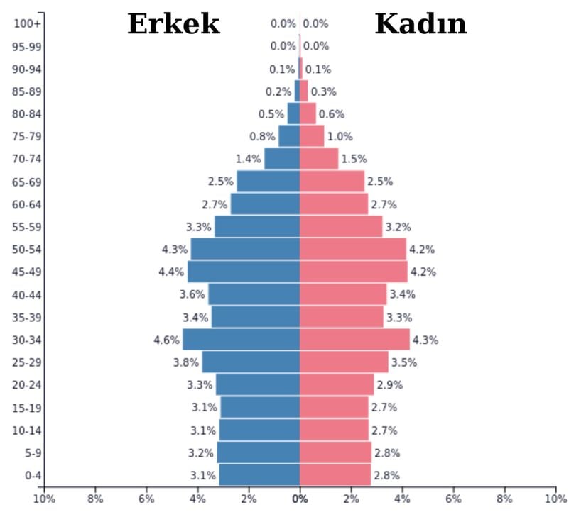 2020 yılında Çin'in nüfus piramidi