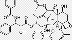 Kanser ile ilgili Tedavi Projem