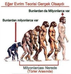 Hem bizim, hem de diğer maymunların geçirdiği evrim sona mı erdi?