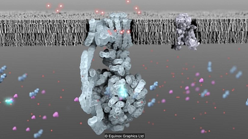 Yaşam, canlı kalabilmek için enerjiye ihtiyaç duyar.