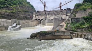 Himalayas Face Environmental Fallout From Hydropower Projects