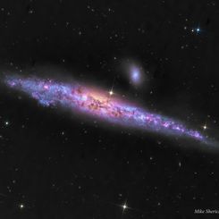  NGC 4631: The Whale Galaxy 