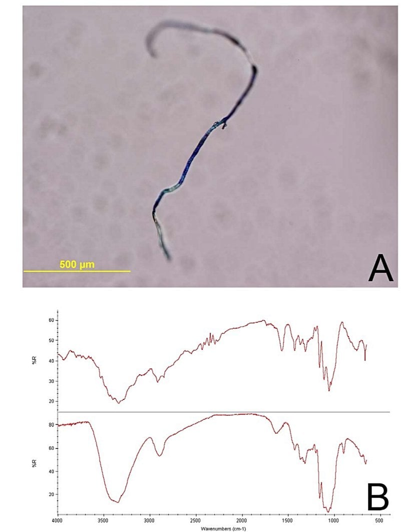 Fiberlerin mikroskop altındaki görüntüsü ve spektral karakteristikleri