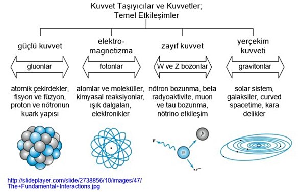 Doğada Dört Temel Kuvvet ve Taşıyıcıları