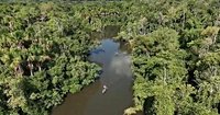 As Amazon's 'flying rivers' weaken with tree loss, scientists warn of worsening droughts
