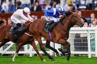 Saturday horse racing tips: Best bets and previews for Newmarket and Ascot