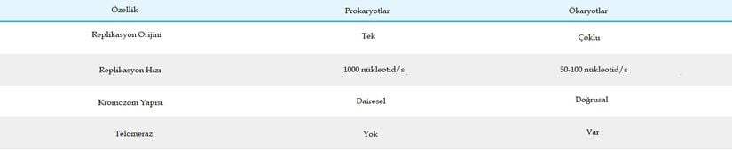 Prokaryotik ve ökaryotik replikasyonlar arasındaki farklar