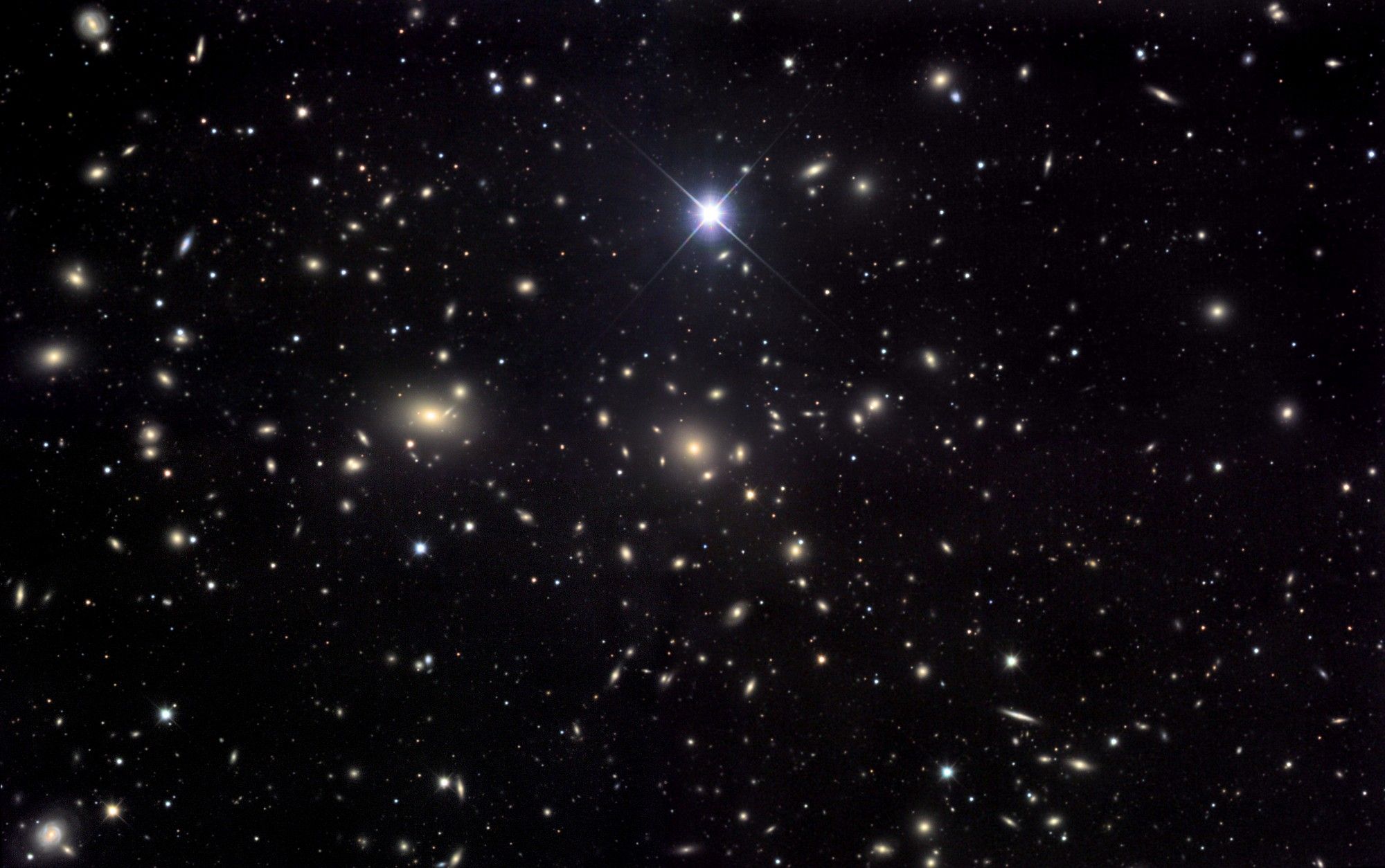 The Coma Cluster of Galaxies