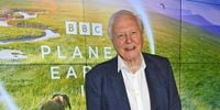 Birthday tributes pour in for Sir David Attenborough as he turns 99