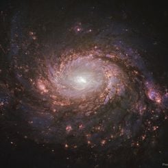  M77: Spiral Galaxy with an Active Center 