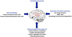 Research Reveals Epigenetic Aging Acceleration In Huntington's Disease