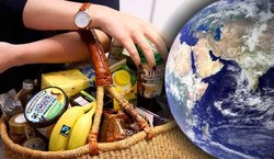 İnsanoğlunun varoluş hikayesi aslında bir istilacı ırk olduğumuzu göstermezmi ?