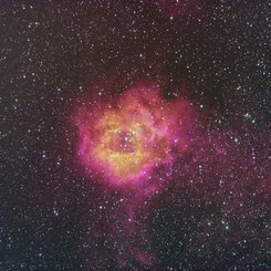 The Rosette Nebula