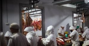 Trump’s Argentina Beef Plan Sparks Outrage In Farm States