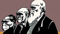 Evrim ve Ateizm: Evrimsel Biyologlar ve Evrimciler Arasında Ateist Görüşler Neden Daha Yaygın?