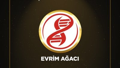 Evrim Ağacı, Boğaziçi Bilişim Ödülleri'nde 