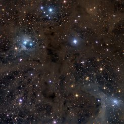 Koç’ta Yıldız Tozu