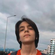 Avni Emir